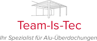 Logo Team Is Tec